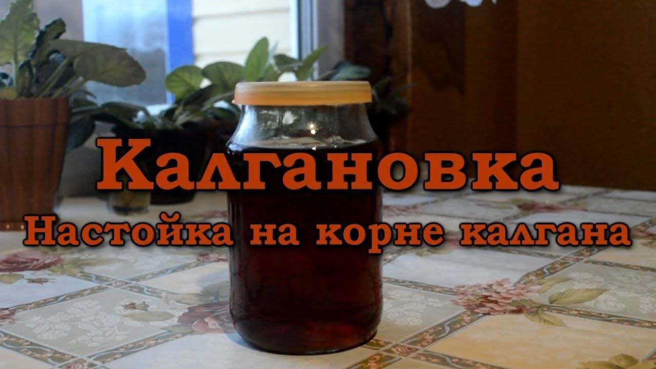 Настойка из золотого уса на водке как приготовить рецепт с фото пошагово