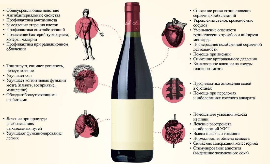 Какое вино полезнее белое или красное: чем они отличаются, что лучше для здоровья — сухое или сладкое, польза и вред