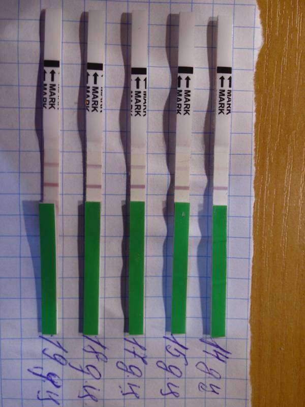 Есть ли овуляция при приеме. Тест на овуляцию. Тест на овуляцию после овуляции. Овулаятсия тест на беременность. Тест на овуляцию и беременность.