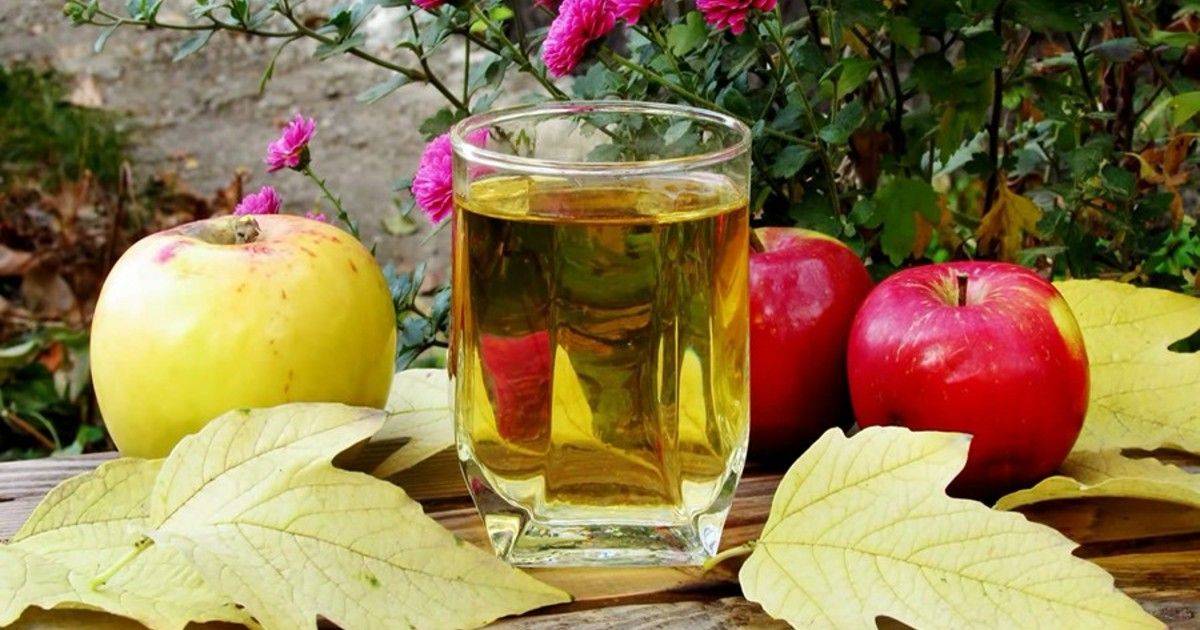 Сложно ли приготовить вкусную настойку из яблок на самогоне, водке или коньяке и как это сделать?