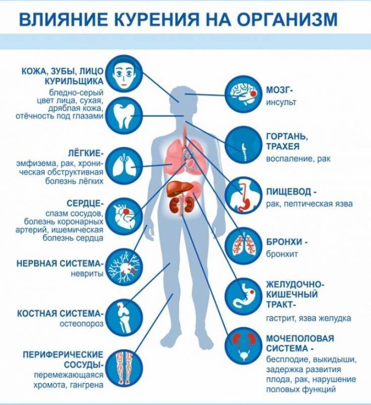 Влияние алкоголя и никотина на состояние здоровья человека проект