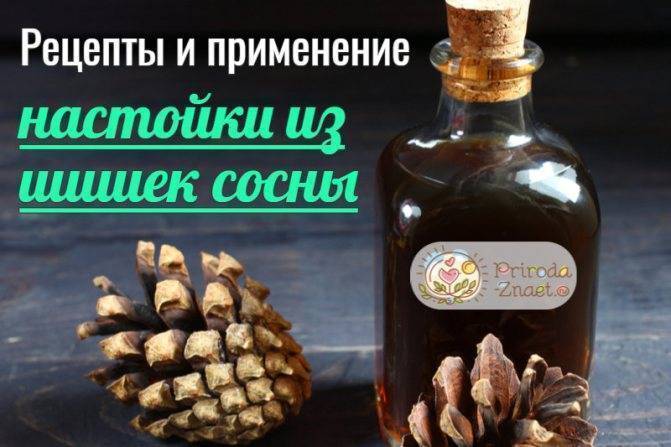 Чесночная настойка на водке для чистки сосудов рецепт с фото пошагово в домашних условиях