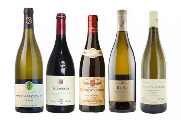 Бургундское вино: классификация напитка из бургундии, лучшие красные сухие и белые вина