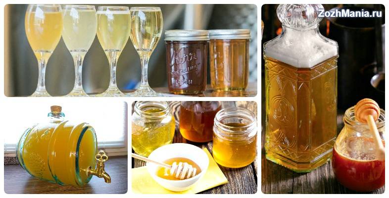 Медовуха – виды и технология приготовления напитка, его польза и вред на ydoo.info