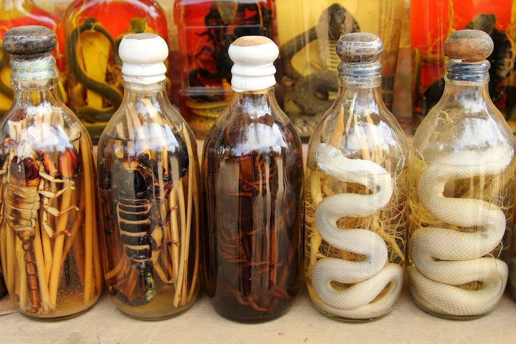 Водка со змеей: польза и вред, как изготавливается знаменитый напиток - я здоров