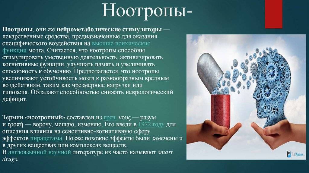 14 лучших ноотропов для разгона мозга - полонсил.ру - социальная сеть здоровья - медиаплатформа миртесен