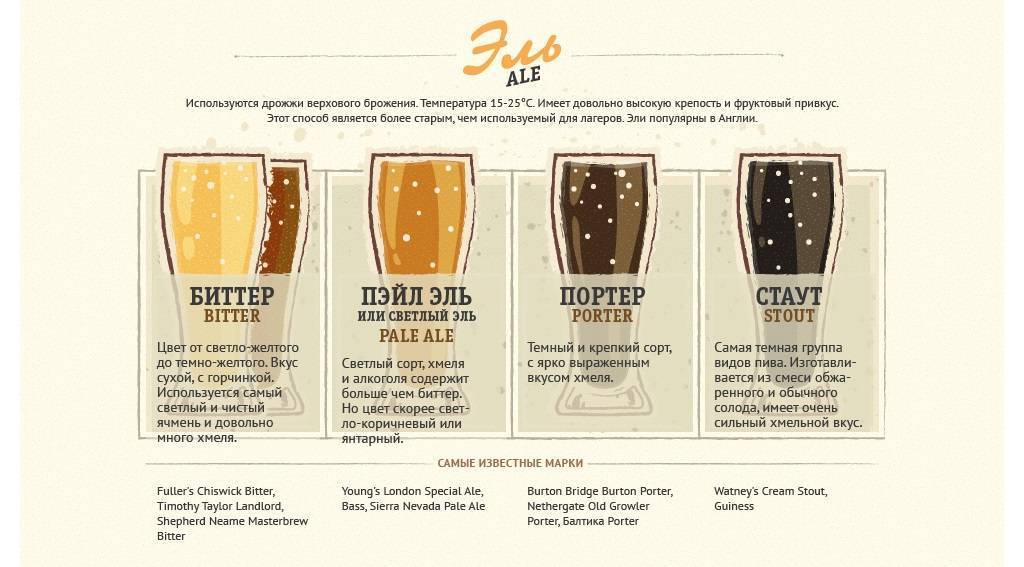 Чем эль отличается от пива + описание 11 сортов эля