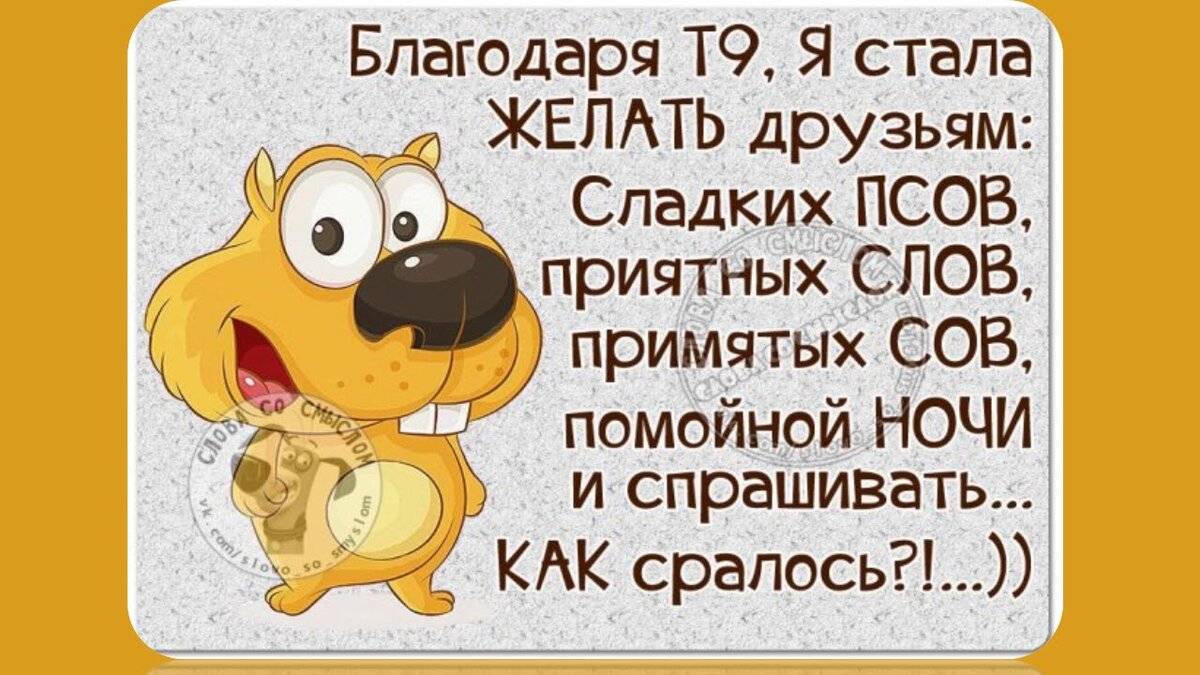 Смешные фразы и смешные картинки