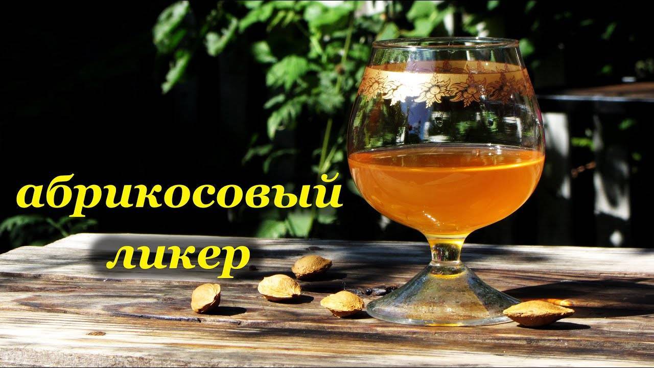 Домашние абрикосовые наливки и настойки. рецепты простые и не очень