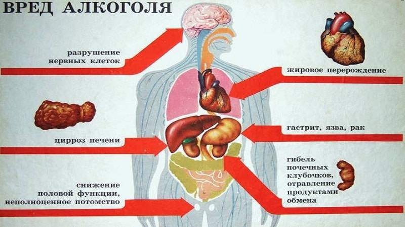 Спиртное синклера как попасть биошок