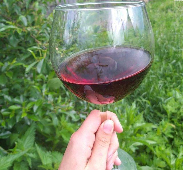 Как делать вино из винограда лидия в домашних условиях? несложные рецепты своими руками | про самогон и другие напитки ? | яндекс дзен