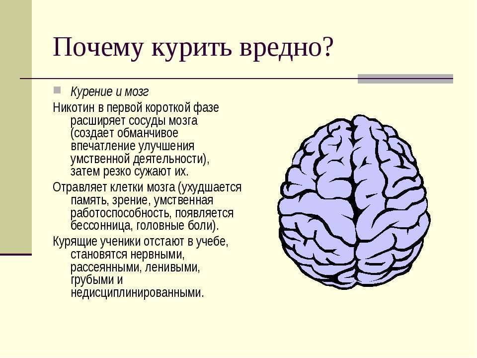 Ми шаред презентации