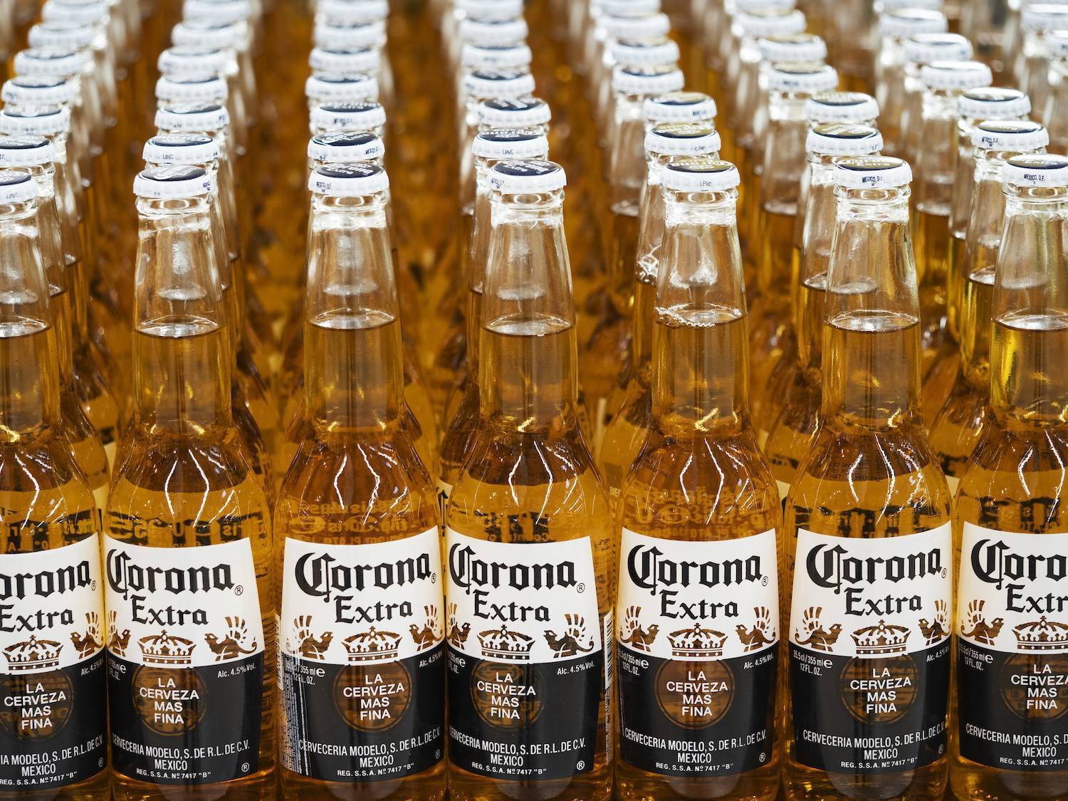 Пиво corona: история, употребление и классификация
