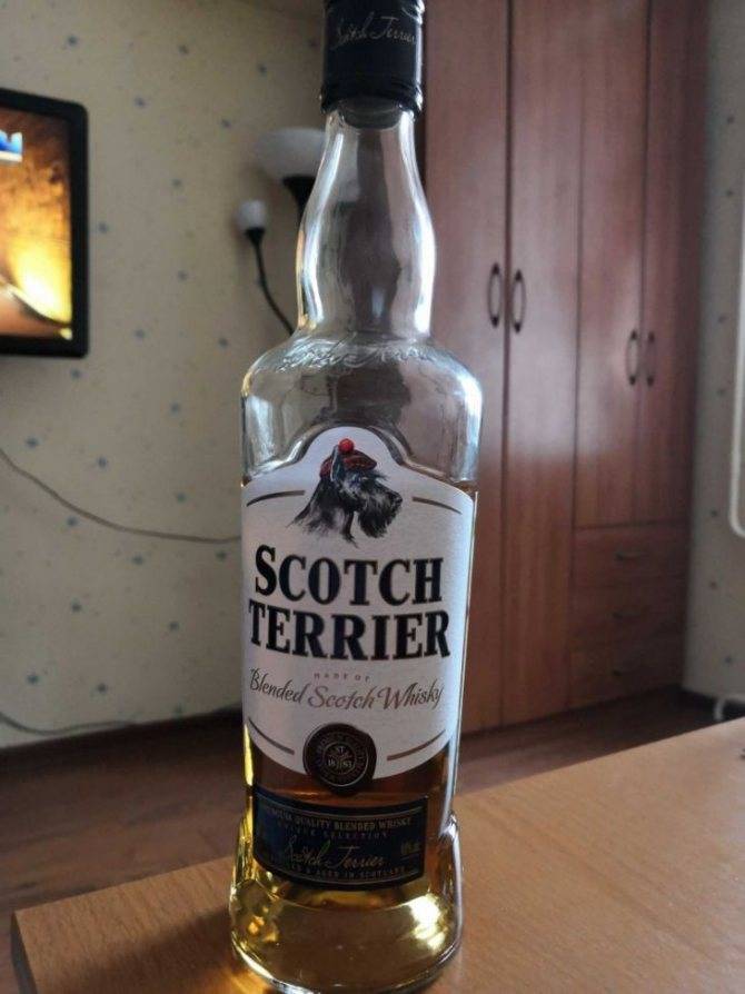 Шотландский виски — марки, виды и особенности