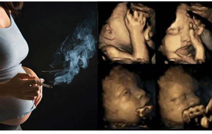 Курение и эко – отзывы, курение после переноса эмбрионов