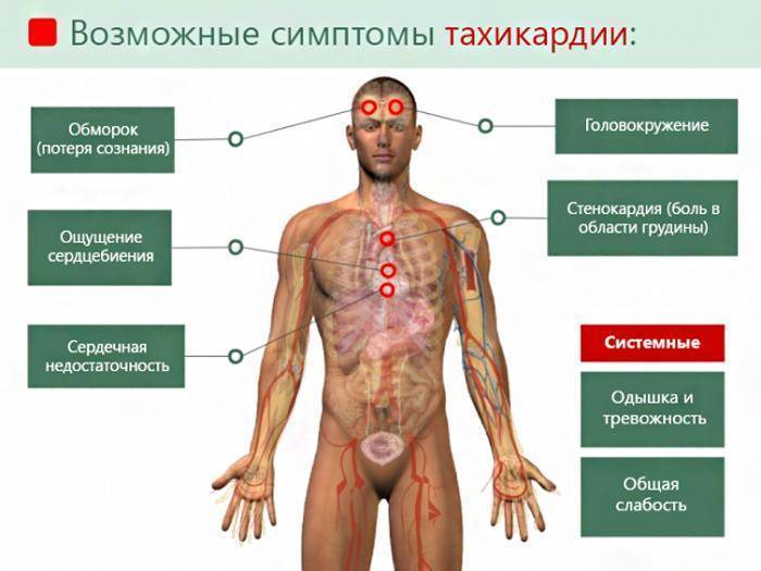 Почему после первой сигареты утром кружится голова. как избавиться от неприятных симптомов. о необходимости отказаться от курения