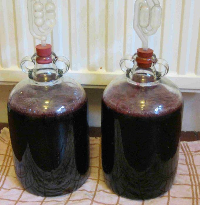 Вино из черноплодной рябины в домашних условиях: простой рецепт