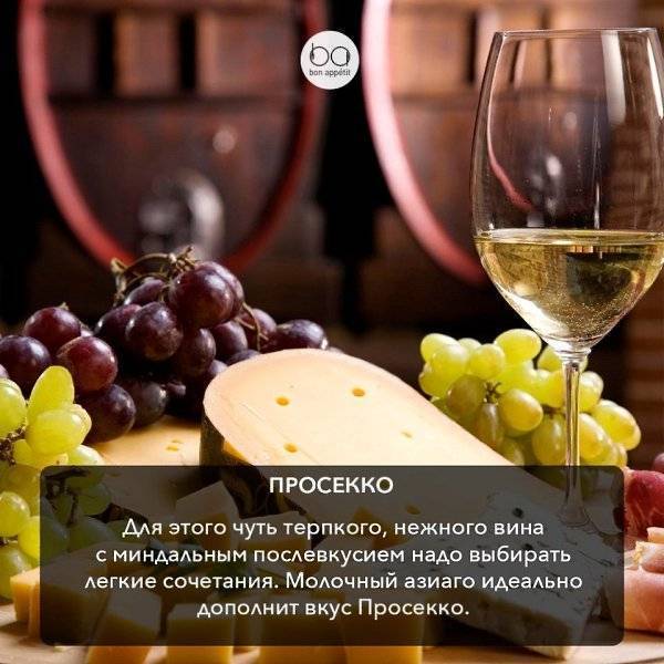 Сыр к красному вину: какой к какому напитку подходит лучше всего