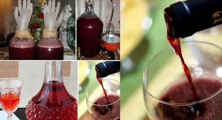 Вино натуральное домашнее – кулинарный рецепт
