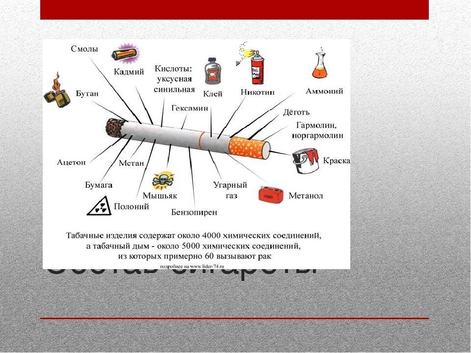 Химический состав сигареты: строение и длина, действие никотина, симптомы и вред табака