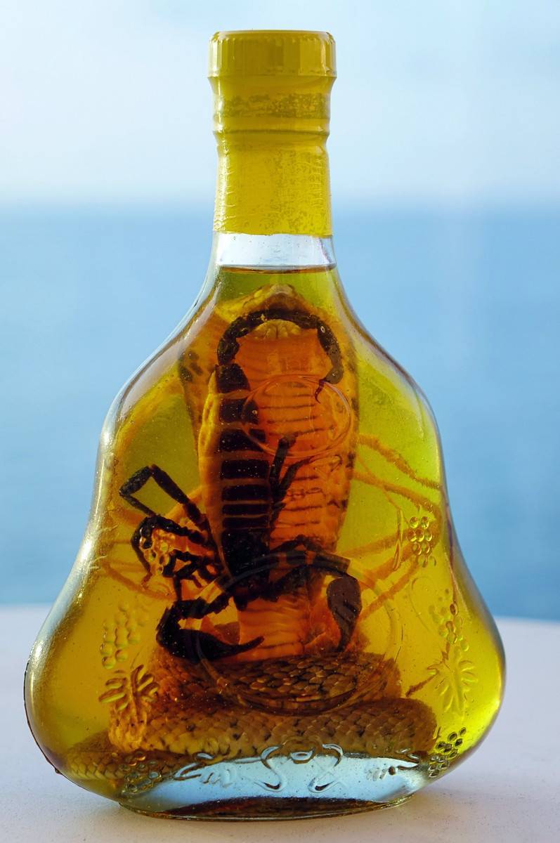 Мескаль – колоритный мексиканский напиток с гусеницей | алкофан | яндекс дзен