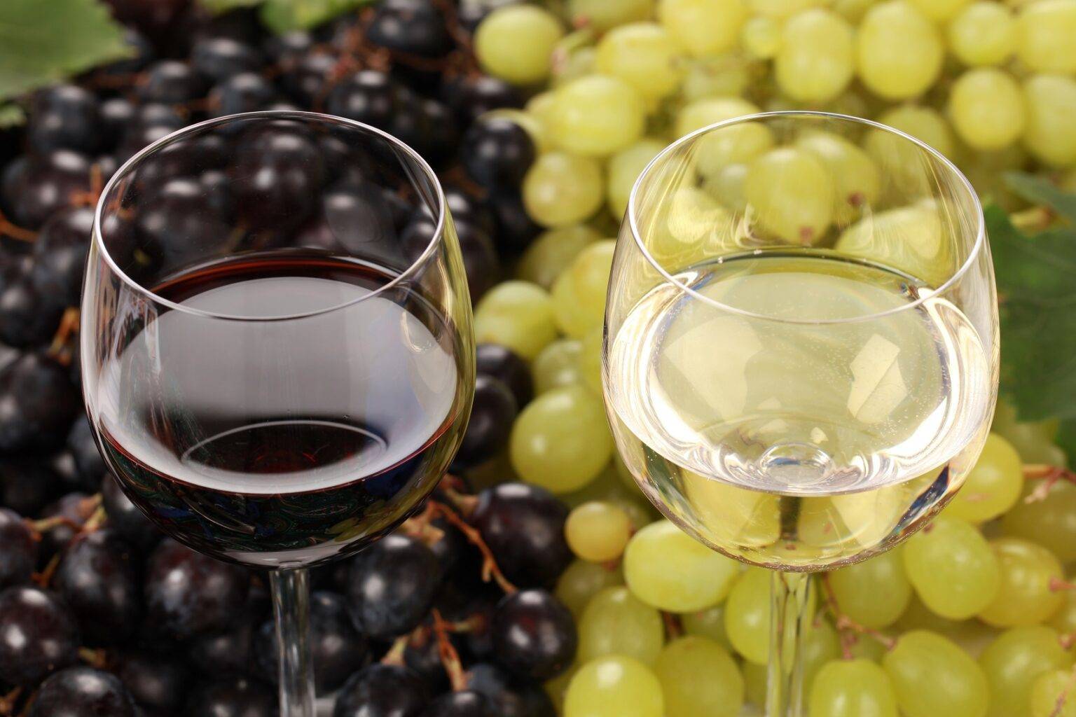 Чем полезно вино для здоровья