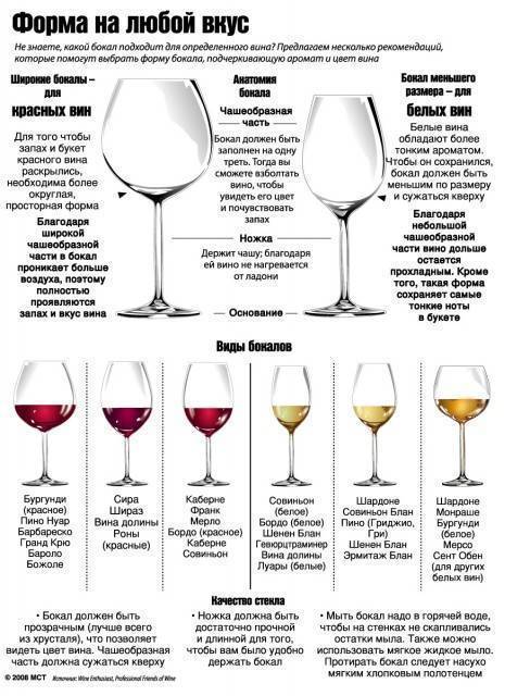 Как правильно выбирать бокалы для вина: красные и белые бокалы