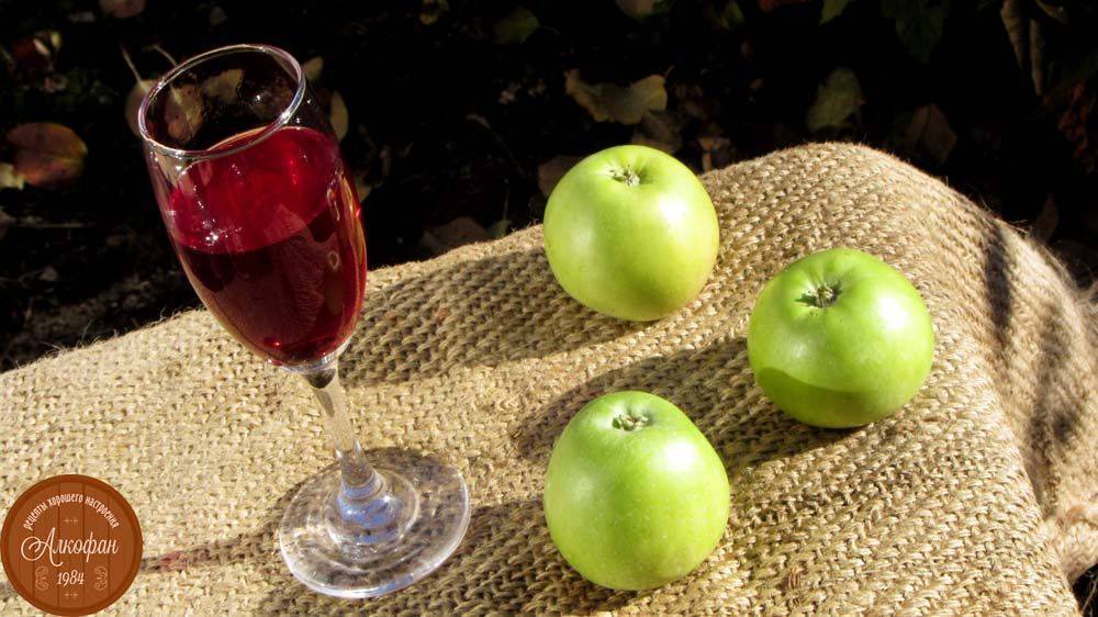 Яблочный ликер: состав, польза и вред, приготовление ликера из яблок