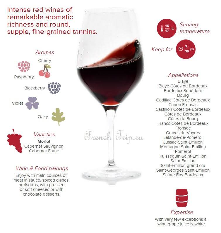 Виноделие в бордо (bordeaux) во франции – производство изысканных красных и белых вин