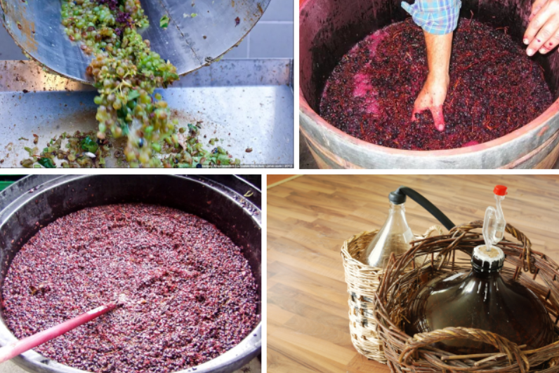 Виноградный самогон: простой рецепт браги из винограда,сока в домашних условия без дрожжей