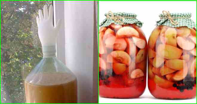 Рецепты яблочного самогона: как использовать сок, яблоки и жмых