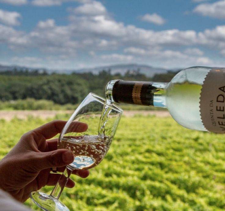 Вино мадера (madera): описание, история и виды напитка родом из португалии, как правильно его пить