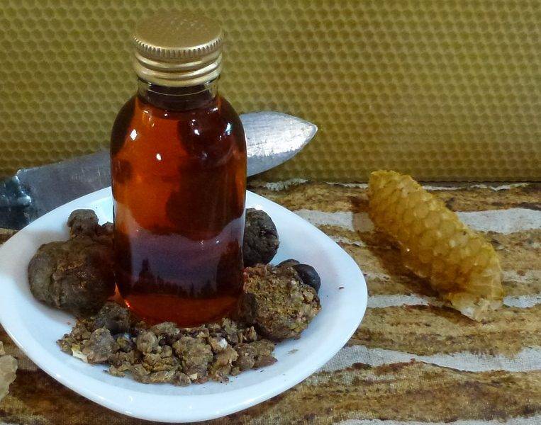 Настойка на грецких орехах: водка, спирт и самогон