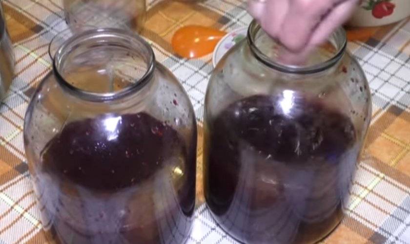 Вино из черной смородины в домашних условиях - простой рецепт пошаговый (фото, видео)