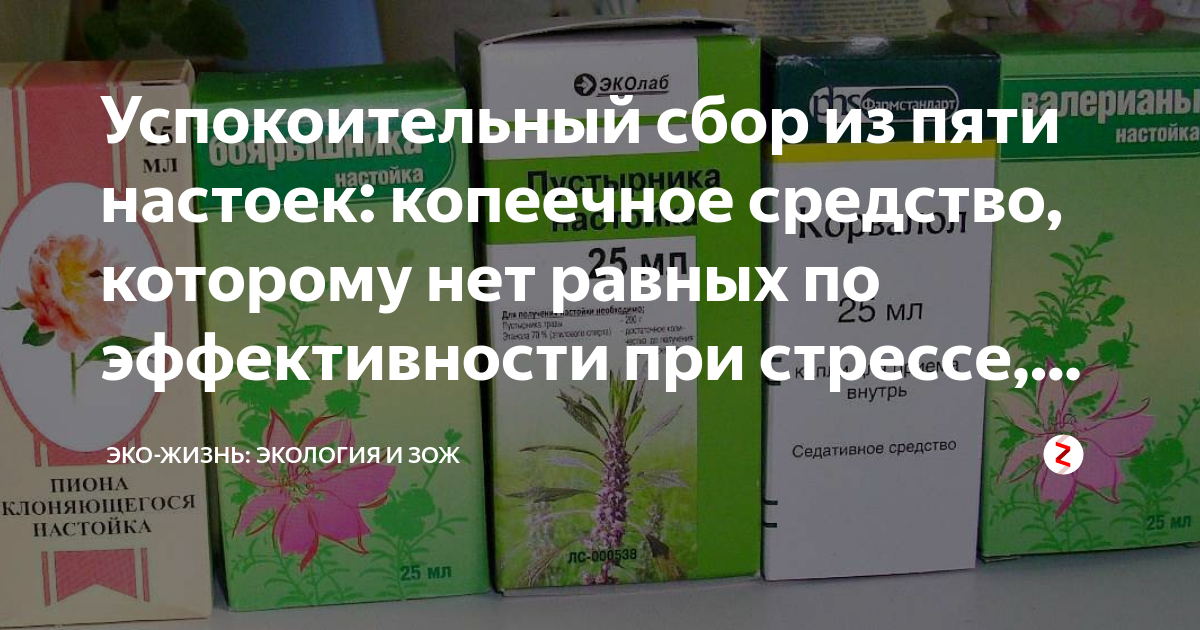 Успокоительное из настоек. Смесь успокоительных настоек из 5 компонентов. Смесь 5 трав для успокоения. Настойка из пяти компонентов для успокоение нервов. 5 успокоительных рецепт