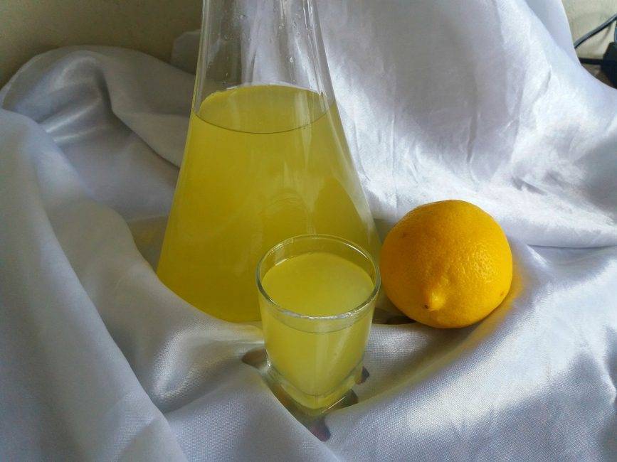 Рецепты домашних настоек самогона на лимоне