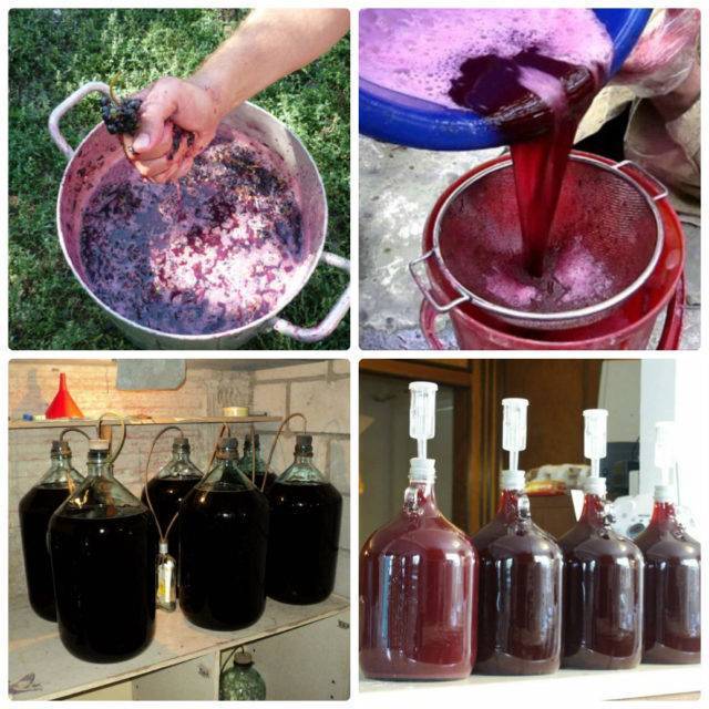 Домашнее вино из винограда: 14 простых рецептов с фото | дачная кухня (огород.ru)