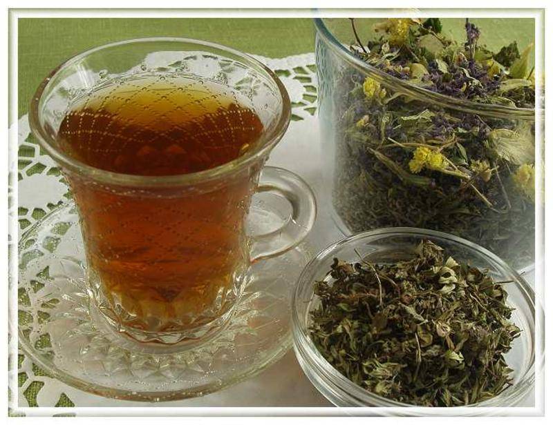 Зеленый чай от похмелья или черный. какой чай пить при похмелье