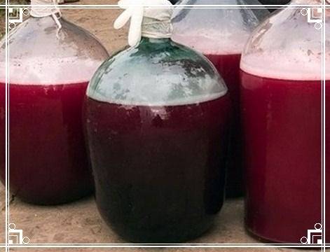 Вино из винограда "молдова": рецепт приготовления в домашних условиях