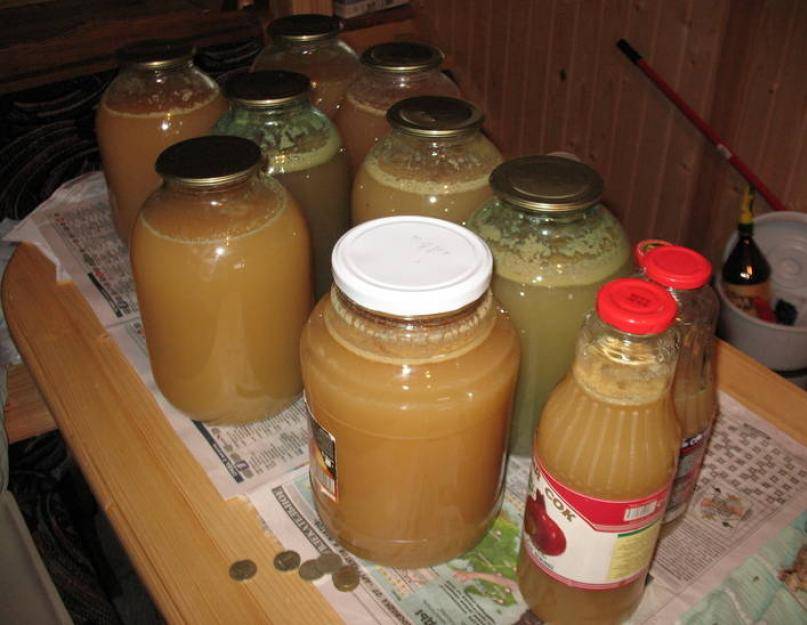 Как приготовить самогон из яблочного сока в домашних условиях