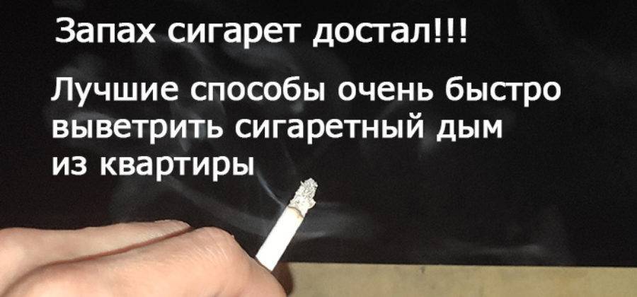 Через сколько выветривается никотин. Запах сигарет. За сколько выветривается запах сигарет. Как быстро выветрить запах сигарет. Сколько выветривается запах табака.