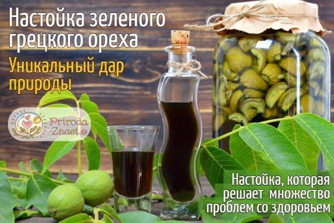 Настойка зеленого грецкого ореха на водке: польза и вред, особенности применения, возможные противопоказания