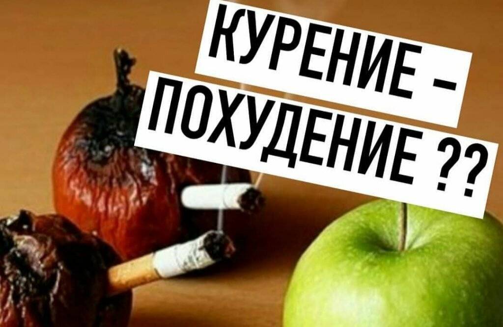 От курения полнеют или худеют. от курения толстеют или худеют