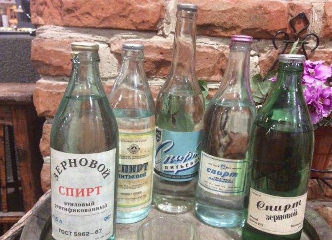 Водка (vodka) / typobar.ru