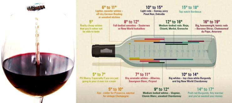 Как хранить вино открытое или домашнее: температура, сроки, условия содержания продукта