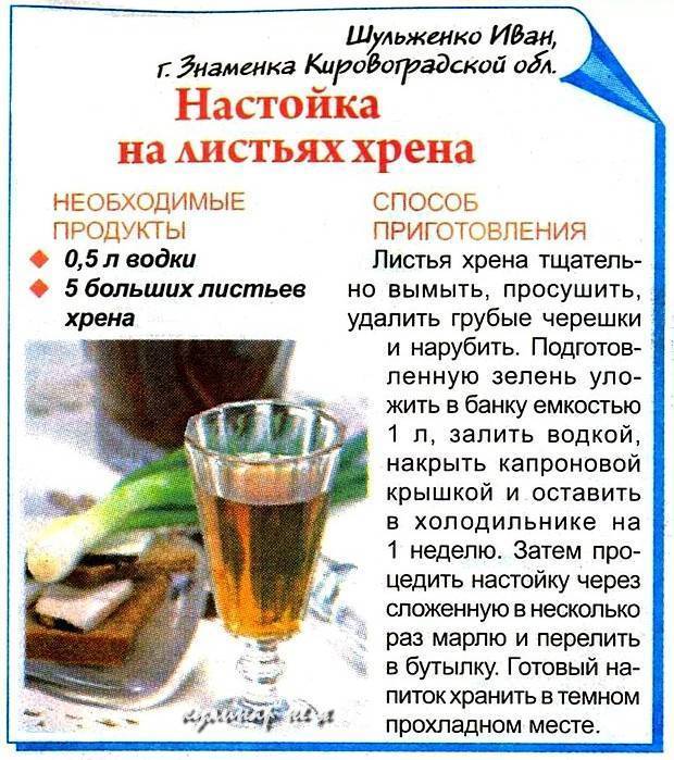 Коктейли с джином - основные рецепты приготовления спиртных напитков в домашних условиях с фото