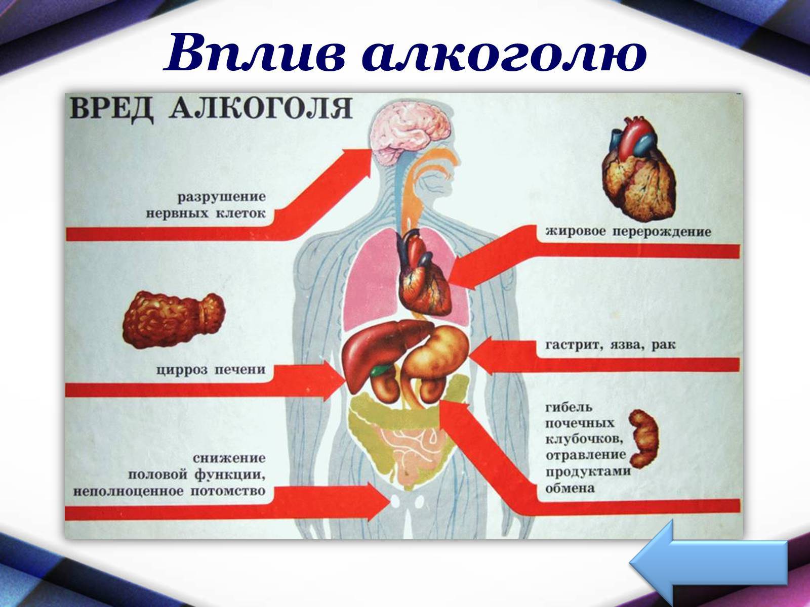 Вред алкоголя на организм человека: 11 причин чтобы не пить — net-bolezniam.ru