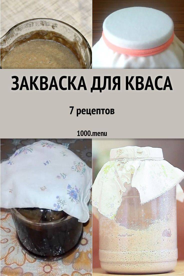 Квас (99 рецептов с фото) - рецепты с фотографиями на поварёнок.ру