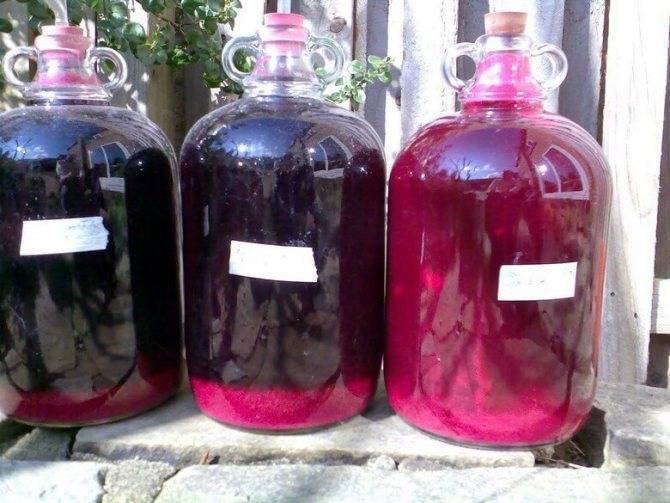 Вино из крыжовника - как приготовить дома из зеленых, желтых или красных ягод
