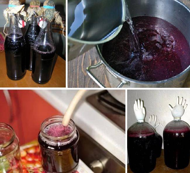 Приготовление вина из листьев винограда в домашних условиях по проверенным рецептам